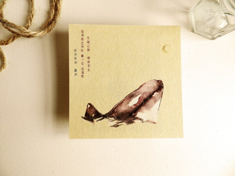 手绘动物明信片-鲸 野生动物