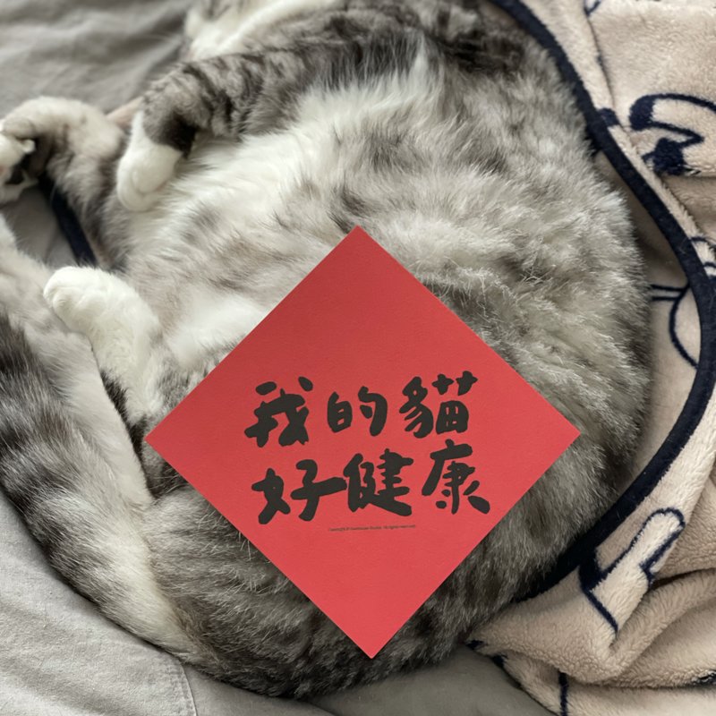 我的猫好健康春联