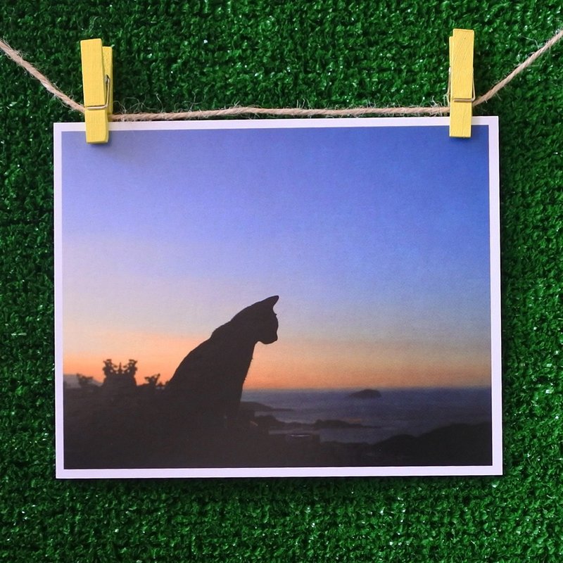 三猫小铺猫咪写真明信片(摄影:猫夫人) – 记忆九份