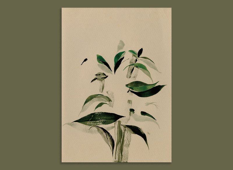 玉记纸品 / 植物素描 / 手绘明信片