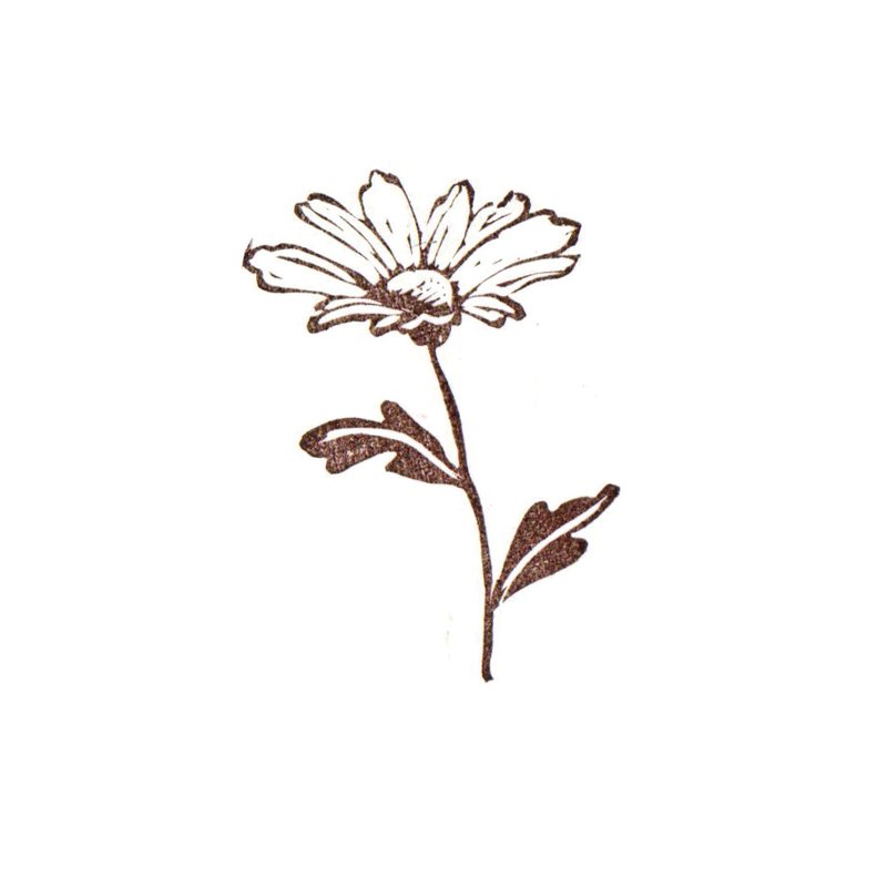 Daisy -Flower - hand carved rubber stamp
