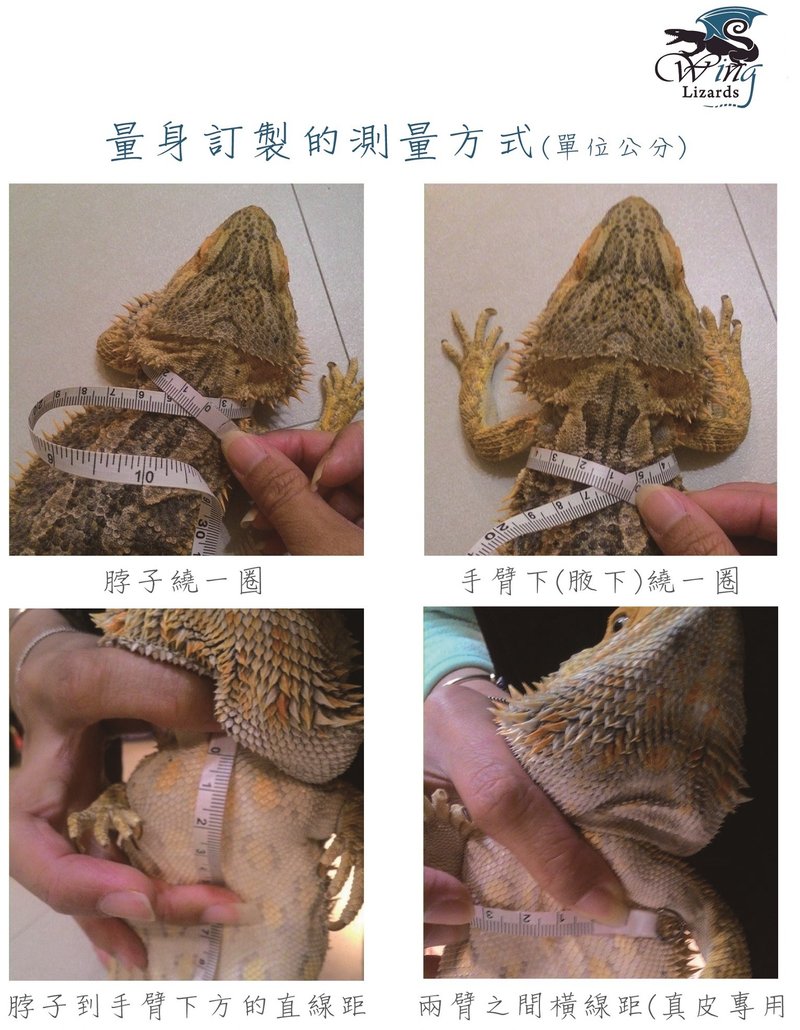 爬虫牵绳客人下单区