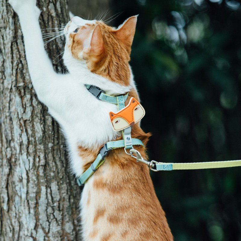 【尾巴与我】经典尼龙带牵绳 猫系列 薄荷柠黄