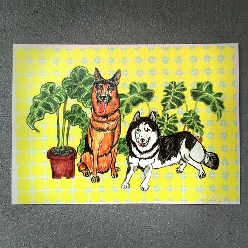 德国狼犬跟哈士奇的好朋友明信片