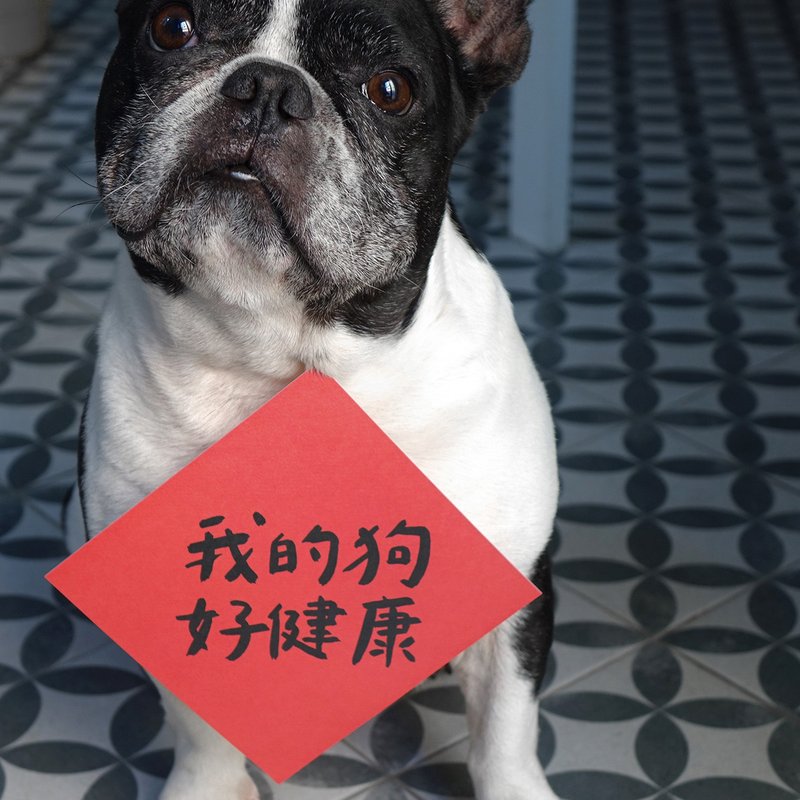 我的狗好健康春联