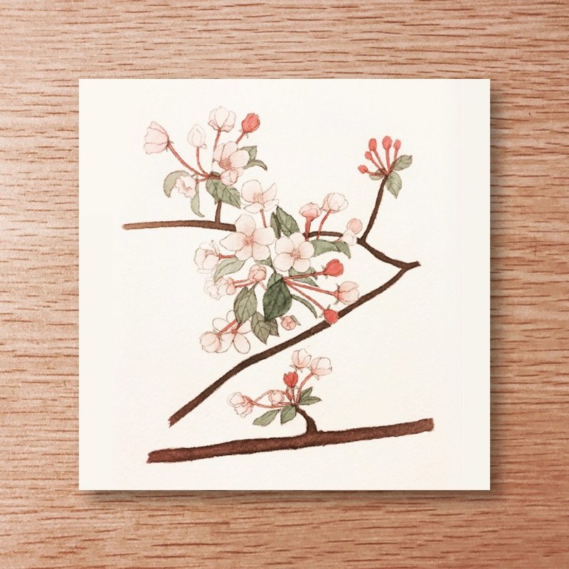 万用卡-春-樱花