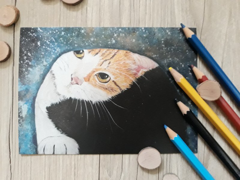 宇宙猫星人-黑洞橘子