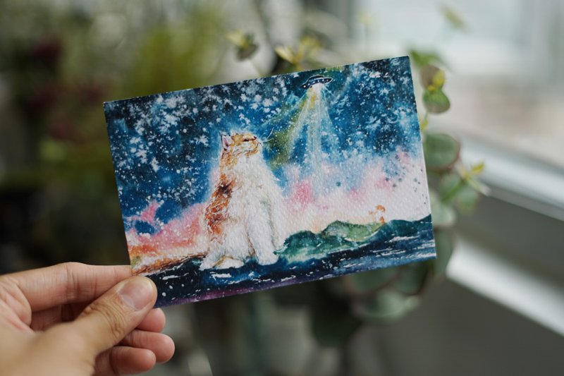明信片 PC-AN-014 外星猫