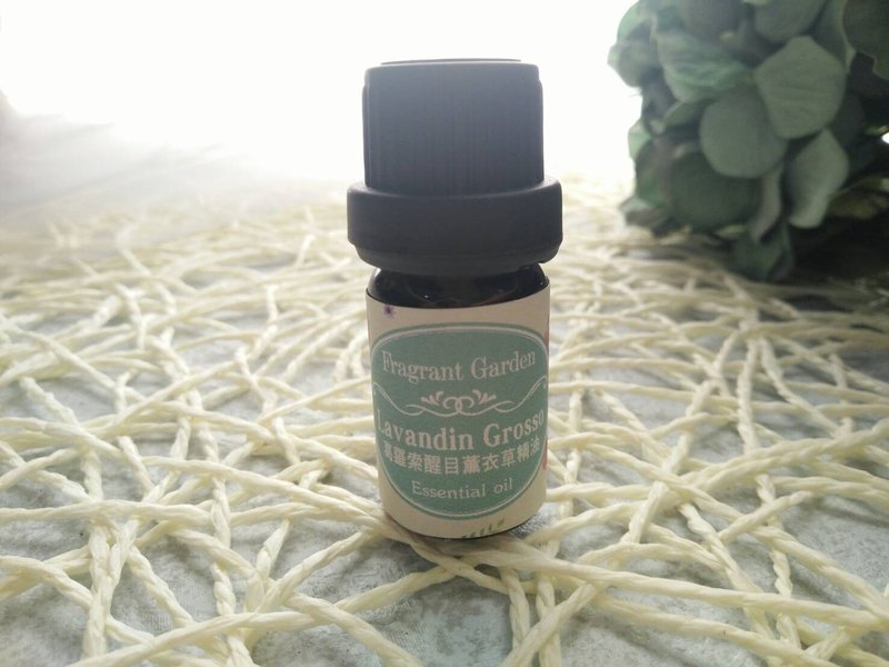 葛罗索醒目薰衣草精油 Lavendin Grosso essential oil