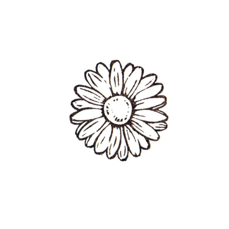 Daisy number 5