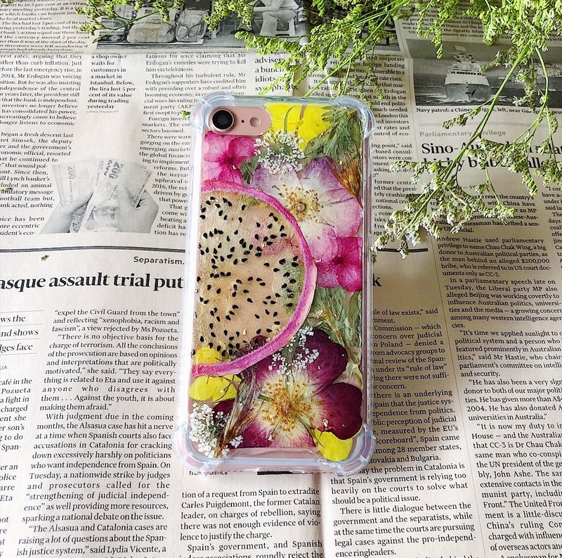 水果花壳