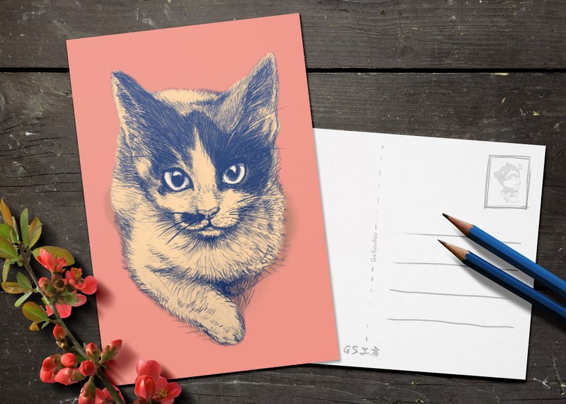 明信片Postcard - 简约三色猫