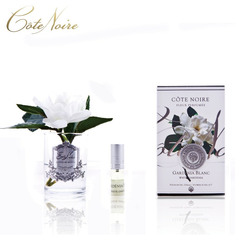 法国 Côte Noire 蔻特兰 单朵槴子花香氛花透明瓶
