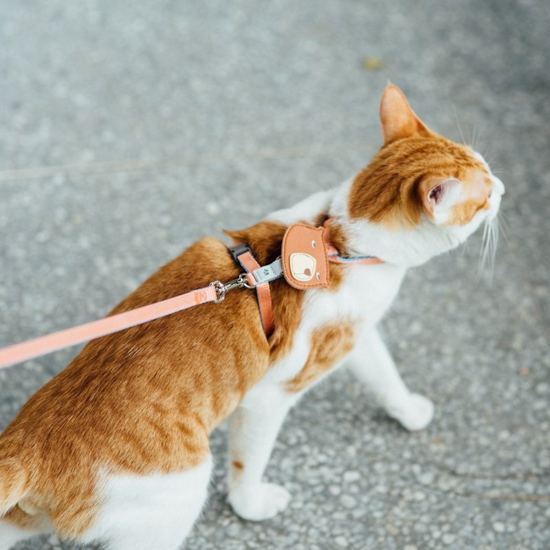 【尾巴与我】经典尼龙带 猫系列 胸背带 粉橘天蓝