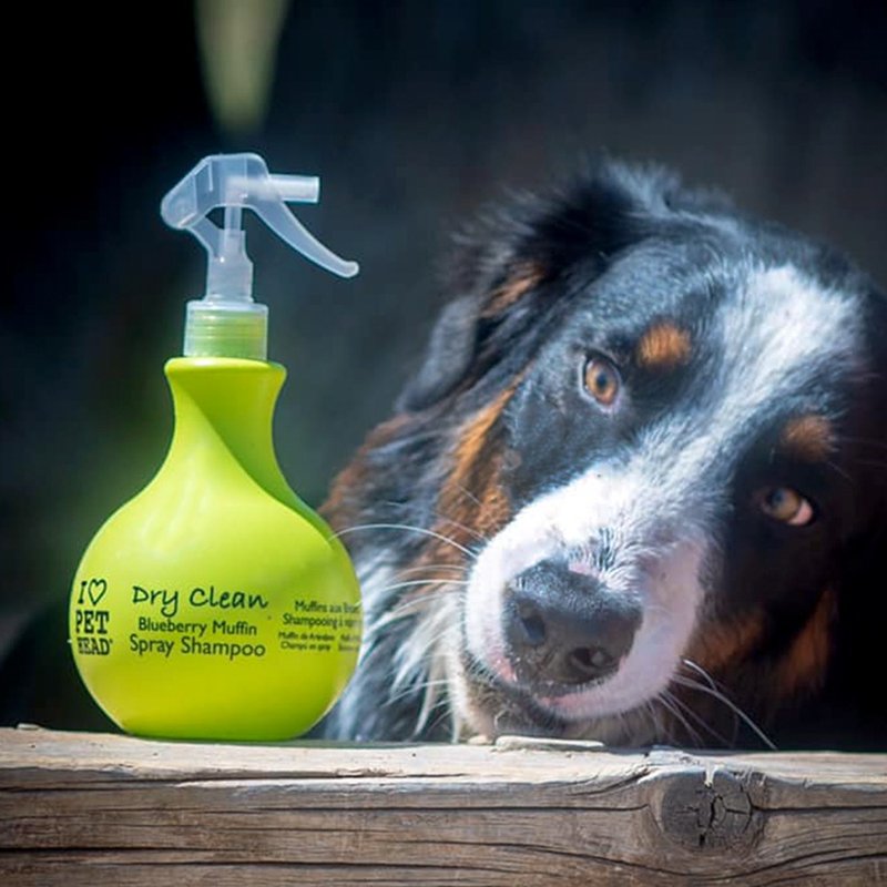 【狗狗干洗澡】懒人犬 干式洗毛/洗发喷雾450ml