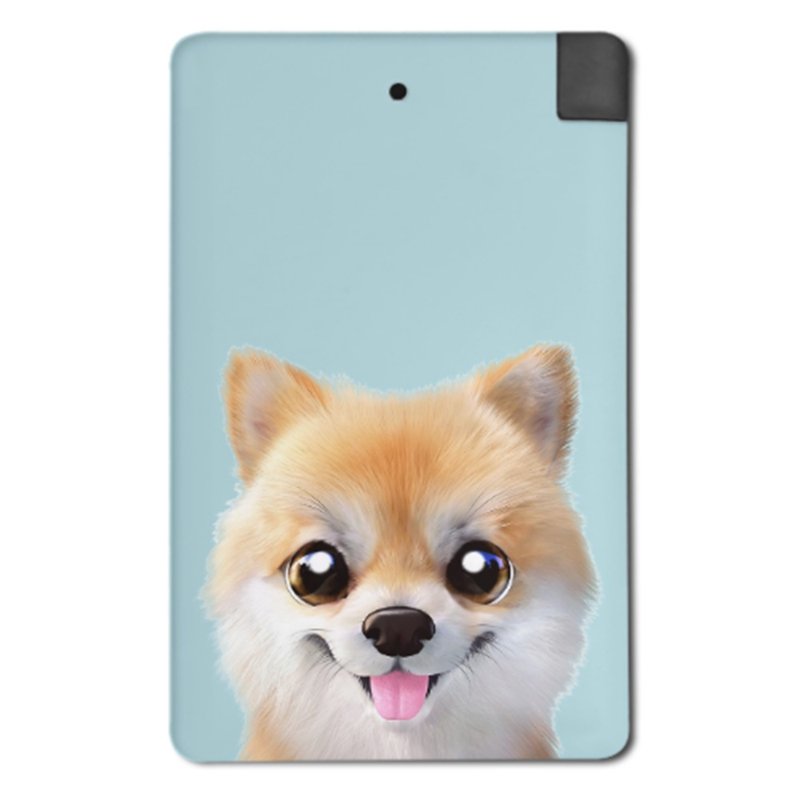 2500mAh 行动电源