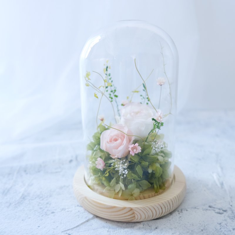 【小花园】玻璃钟罩/粉色/白色/不凋花/永生花/干燥花