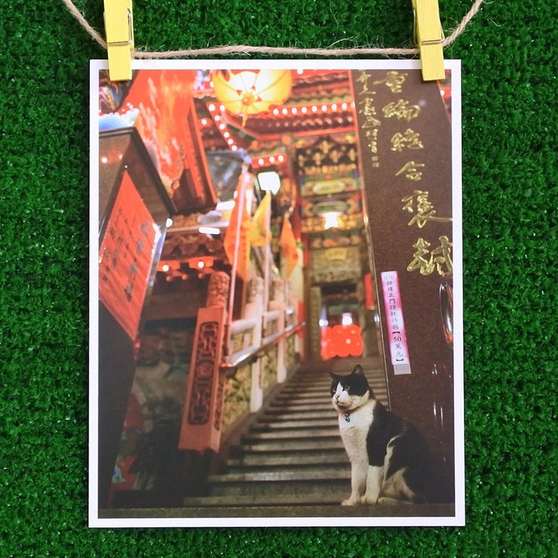 三猫小铺猫咪写真明信片(摄影:猫夫人) –心诚则灵