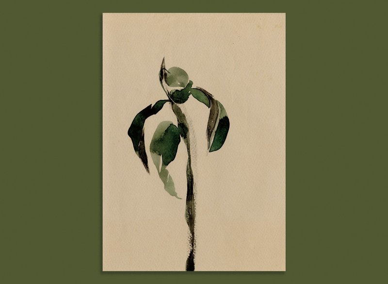 玉记纸品 / 植物素描 / 手绘明信片