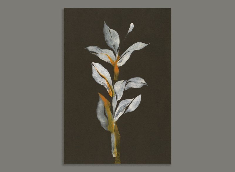 玉记纸品 / 植物素描 / 手绘明信片
