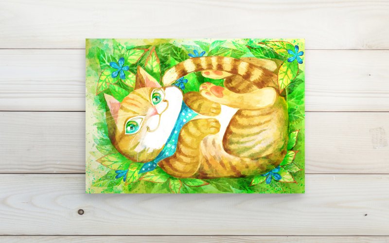 软软橘猫//明信片postcard