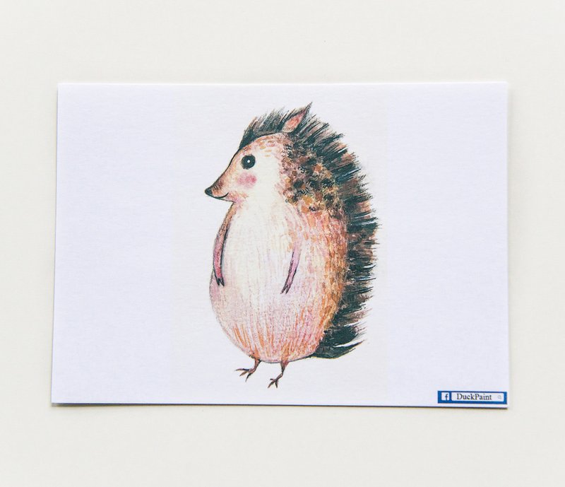 手绘明信片我是小刺猬不是豪猪啦Hedgehog postcard