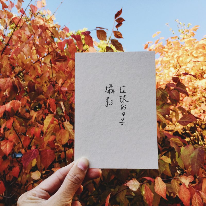 这样的日子 摄影书写系列 文字明信片