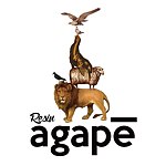 设计师品牌 - agape