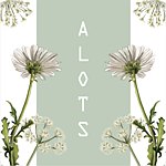设计师品牌 - ALOTSS