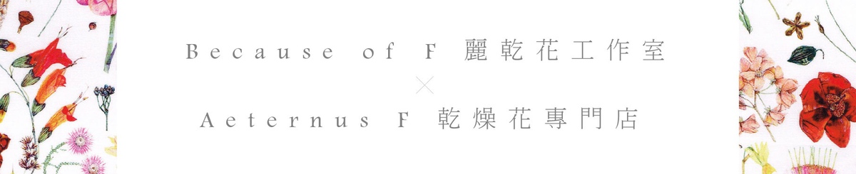 设计师品牌 - BOF＆AF的干燥花设计馆
