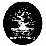 设计师品牌 - bonsaibantung