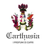 设计师品牌 - Carthusia 台湾代理
