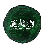 蛋植物古著Eggplant Vintage