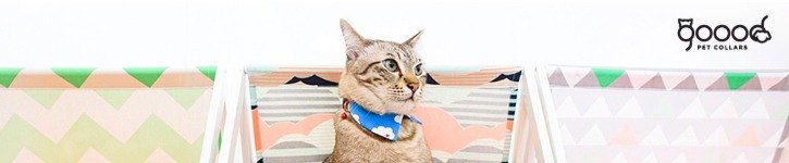 新加坡设计师品牌 - Goood Pet Collars