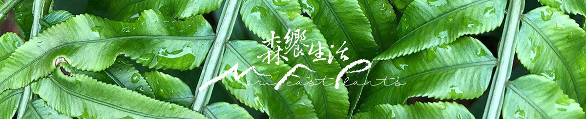 森飨生活 Mori Feast Plants