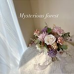 设计师品牌 - Mysterious forest 迷踪森林