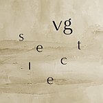 设计师品牌 - VG Select