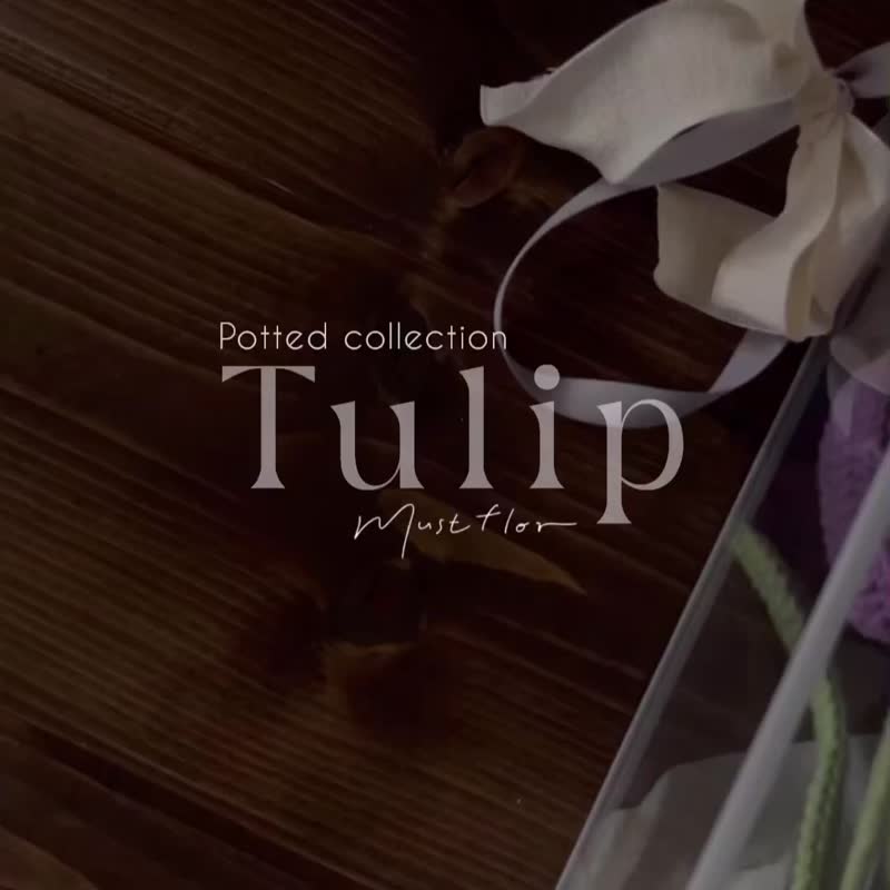 紫郁金香盆花 Tulip Purple- 手工针织花 - 摆饰 - 棉．麻 紫色