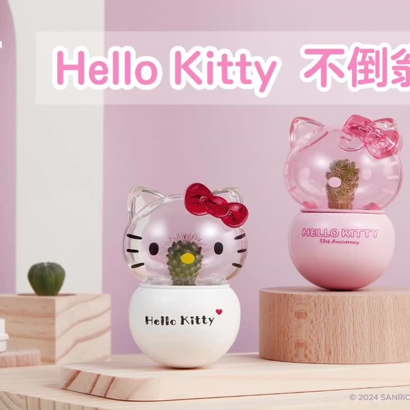 Hello Kitty不倒翁盆栽 经典款 桌上盆栽 疗愈盆栽 - 植栽/盆栽 - 木头 透明