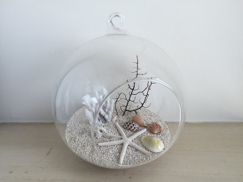 纯自然 海洋 diy组 玻璃球 贝壳 饰品 送礼 疗愈 小物 diy ocean - 其他 - 其他材质 白色