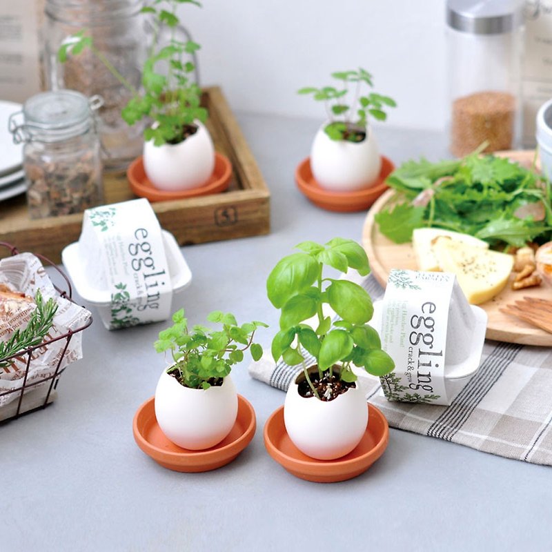 【热门礼物】环保友善包装 Eco eggling植物栽培蛋 - 植栽/盆栽 - 纸 白色