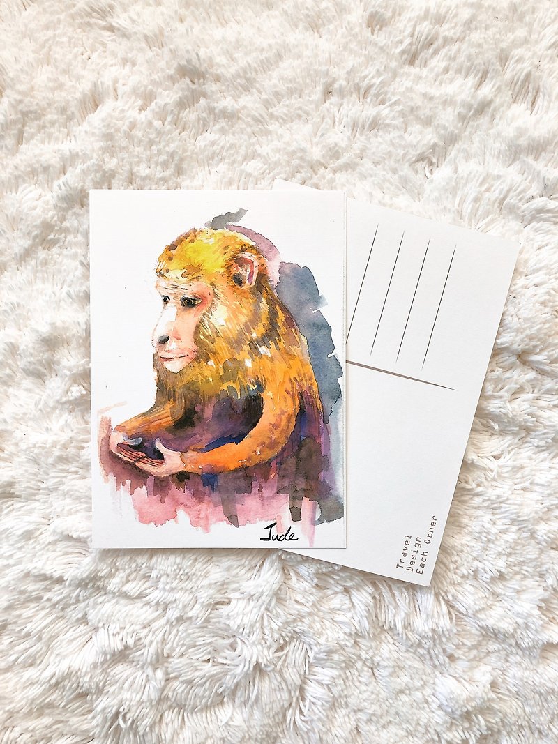 动物 明信片 冷静的　猴子 - 卡片/明信片 - 纸 橘色