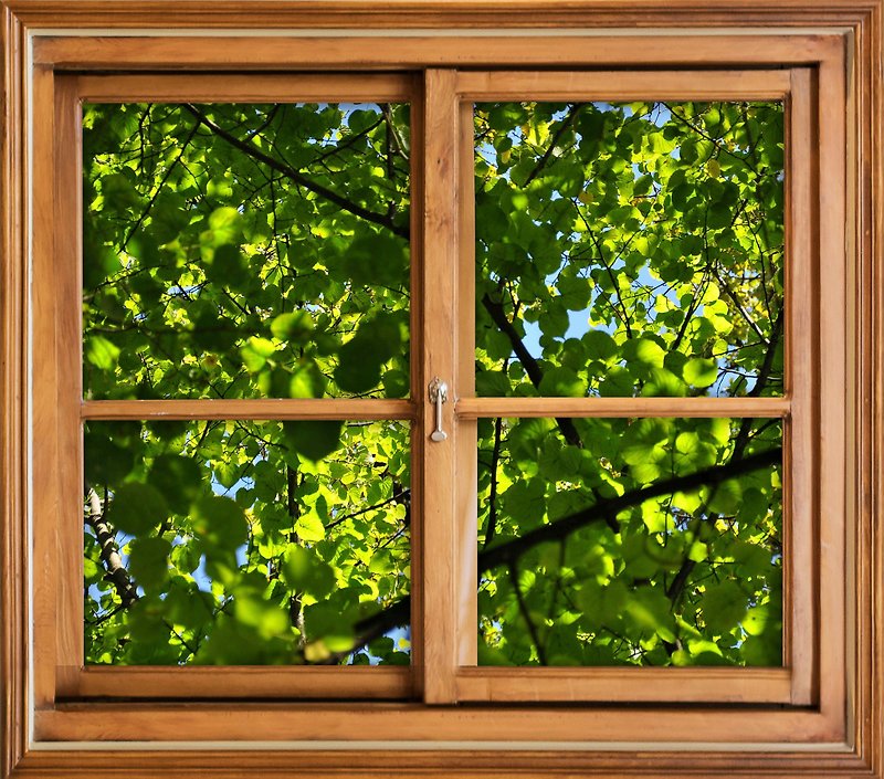 摄影-为自己开一扇有植物的窗 - 绿油油的窗外 - 海报/装饰画/版画 - 纸 绿色