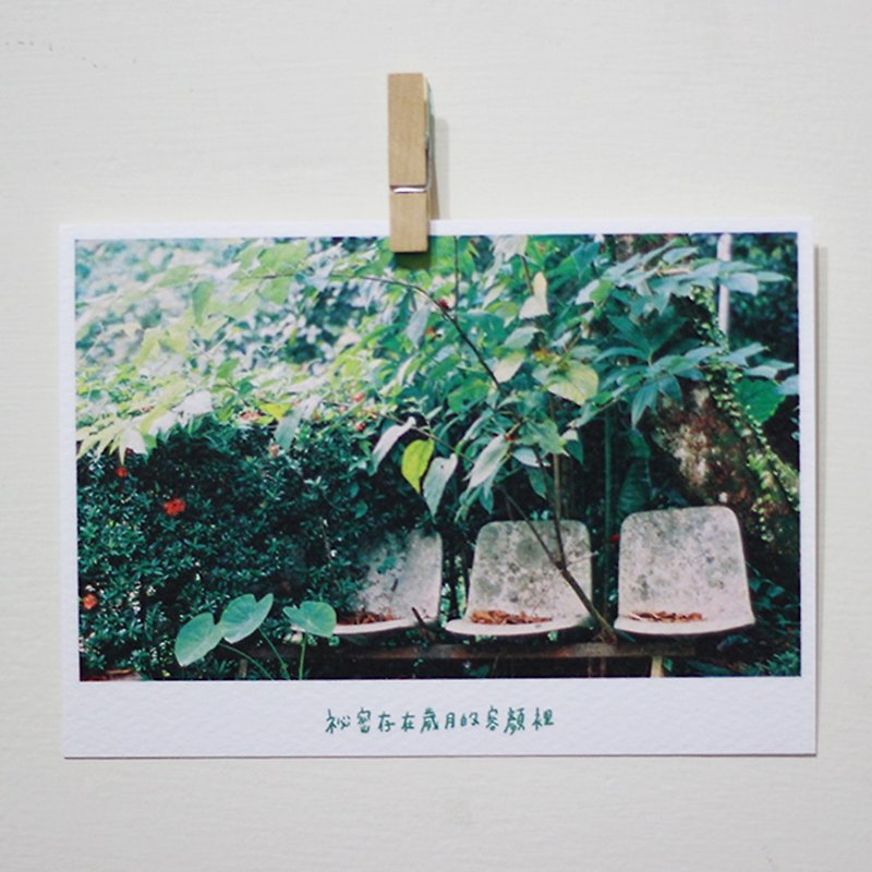 岁月的容颜 /Magai's postcard - 卡片/明信片 - 纸 绿色