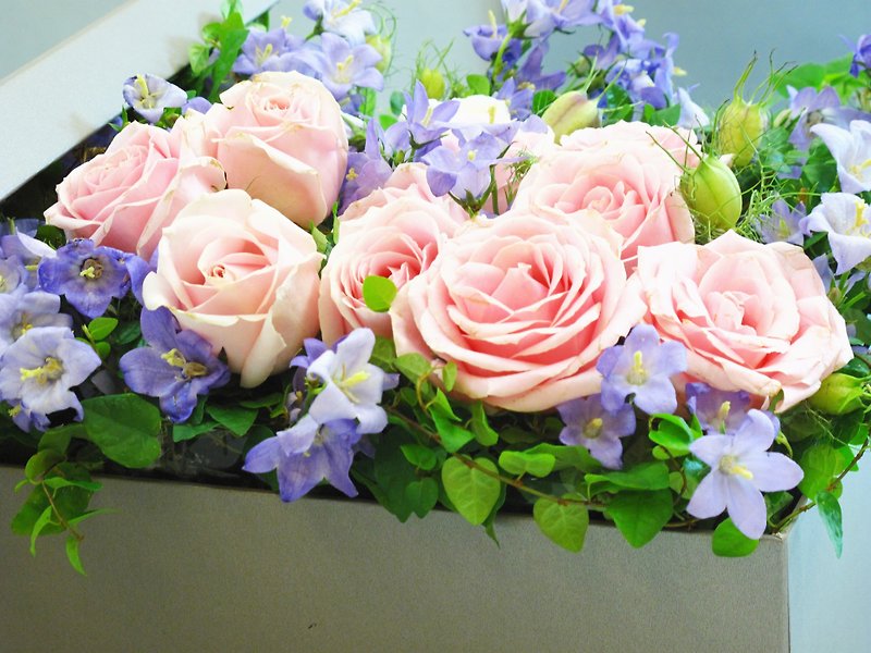 花盒子 - 植栽 - 植物．花 紫色