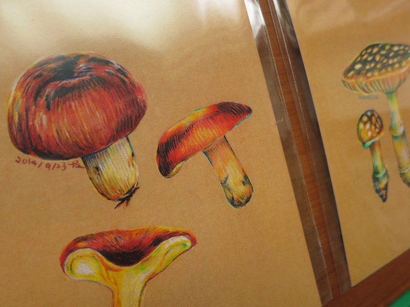 手绘蕈类明信片－三支菇伞标 - 卡片/明信片 - 纸 多色