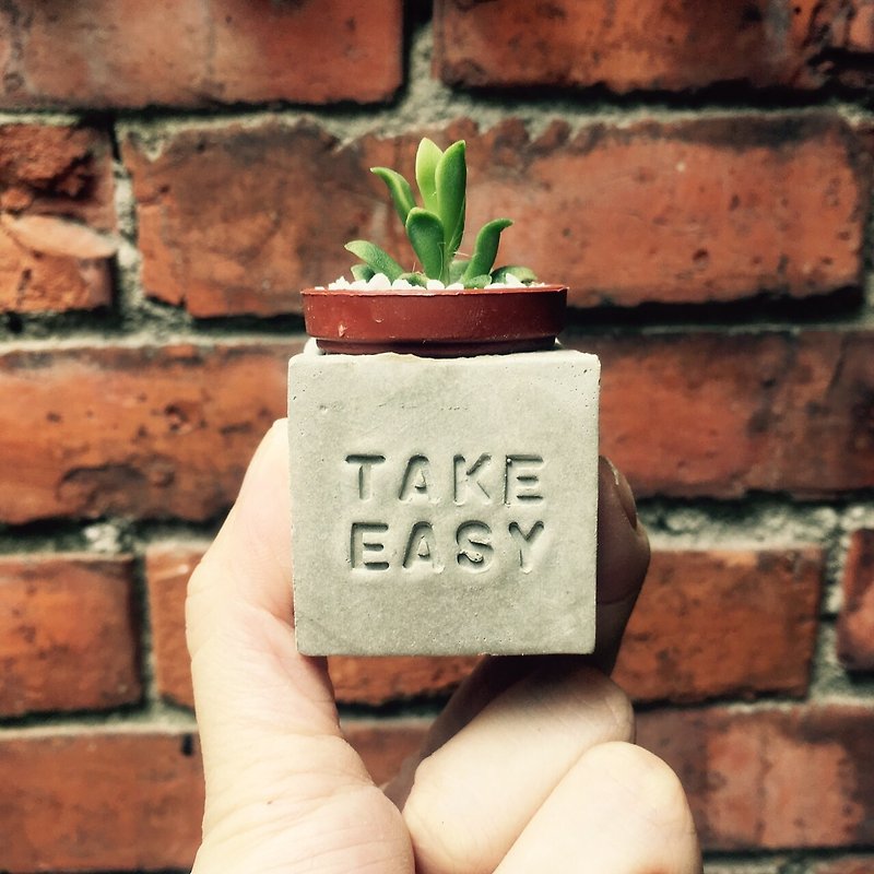 Take Easy!! （放轻松～!）磁铁盆栽 - 植栽/盆栽 - 水泥 灰色