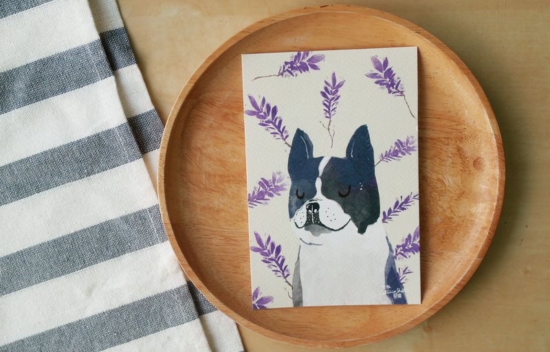 法斗犬与薰衣草明信片 4x6 - 卡片/明信片 - 纸 多色