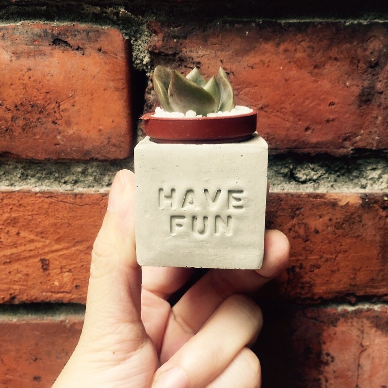 Have Fun~!! （开心享乐）磁铁盆栽 - 植栽/盆栽 - 水泥 灰色