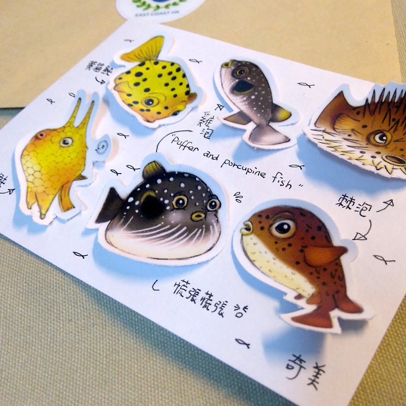 鸡泡鱼和棘泡鱼海洋朋友防水贴纸 - 贴纸 - 纸 